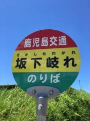 「坂下岐れ」バス停留所