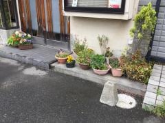 友蕎庵