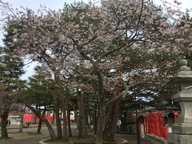 施設写真164