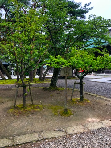 施設写真118