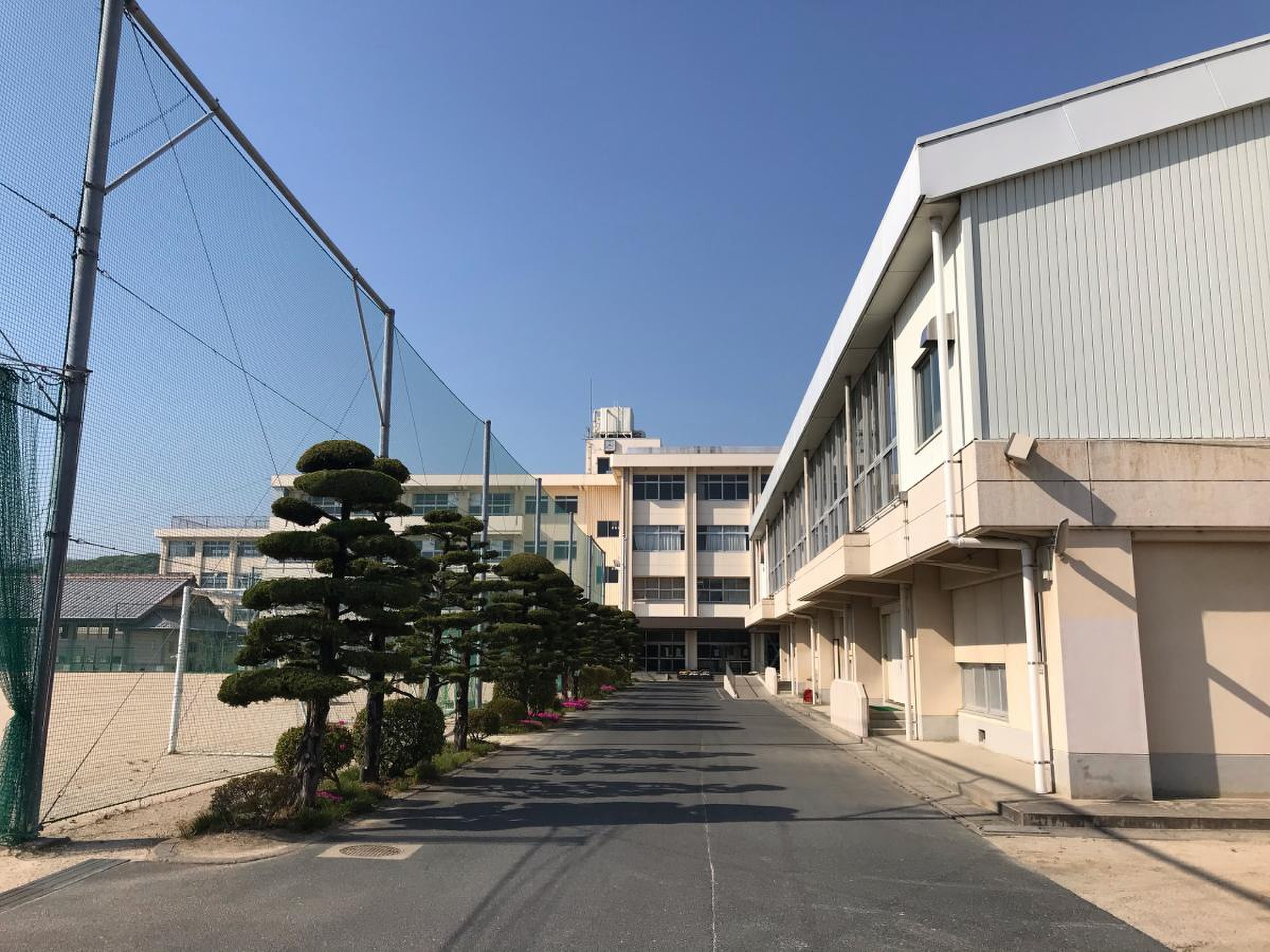 公の場での発言・インタビュー報道記録