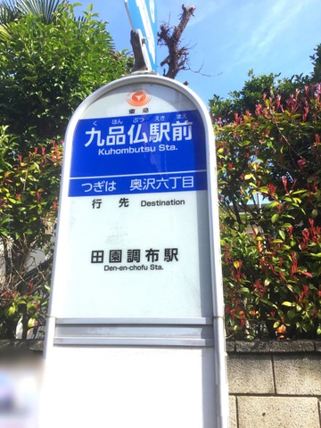 投稿写真5
