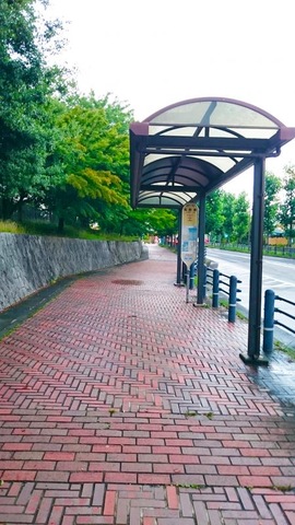 投稿写真2