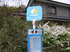 「塔原口」バス停留所